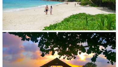 Paradise Seychelles is Covid-19 Free