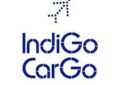 IndiGo CarGo live; inducts the first A321 P2F freighter