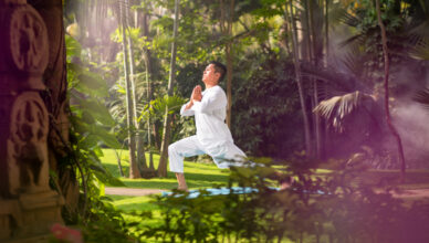 Experience the balance of mind and body with Yoga in verdant settings