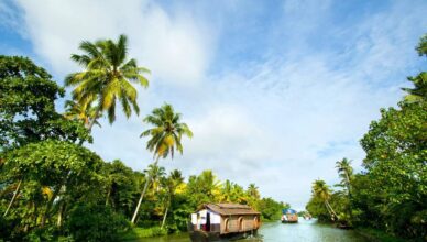 Kerala to host four-day global RT Summit from Feb 25, Tourism Minister to inaugurate the meet at Kumarakom