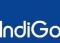 IndiGo logo image