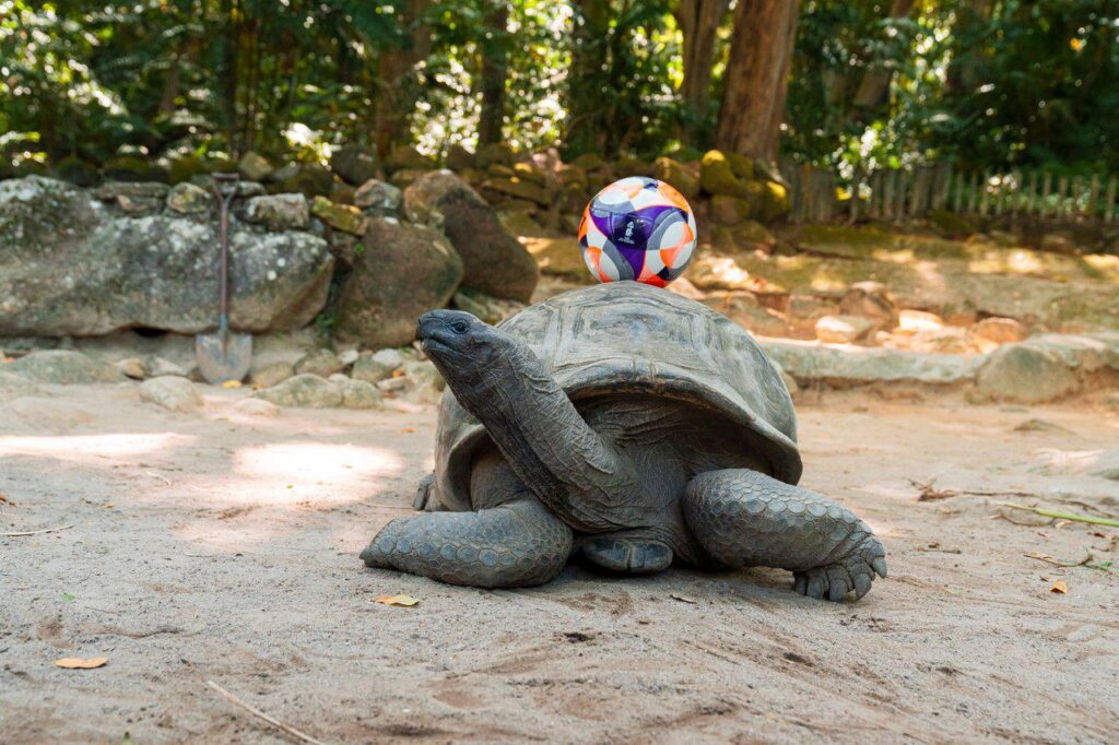 FIFA Beach Soccer World Cup 2025: First Time in Seychelles