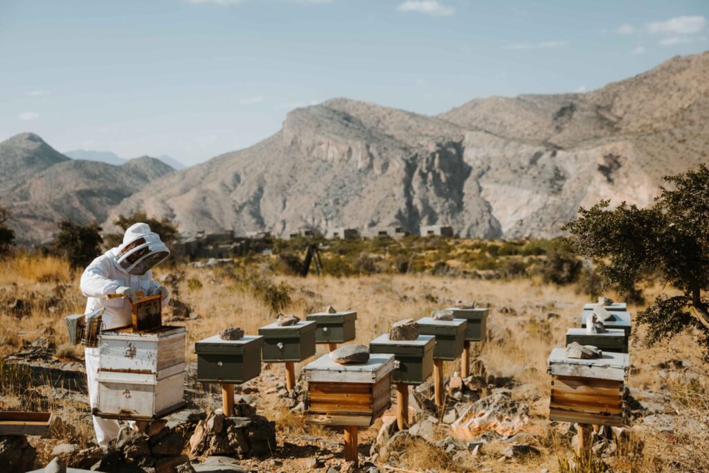 Sustainable Luxury: Alila Jabal Akhdar Earns EarthCheck Gold